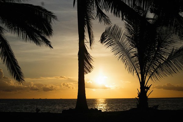 Les meilleures astuces pour bien organiser son voyage montagne