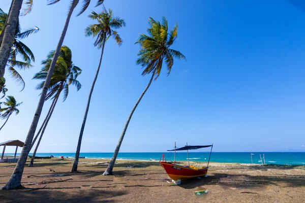 Quels sont les meilleurs spots pour faire du parapente en Nouvelle-Zélande?
