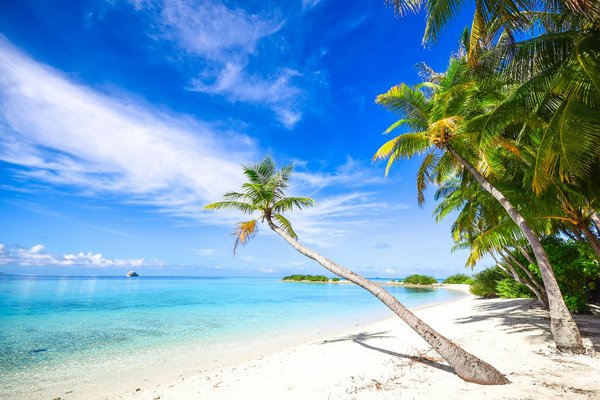 Où découvrir les techniques de gravure sur pierre au Pérou : ateliers et artisans recommandés ?